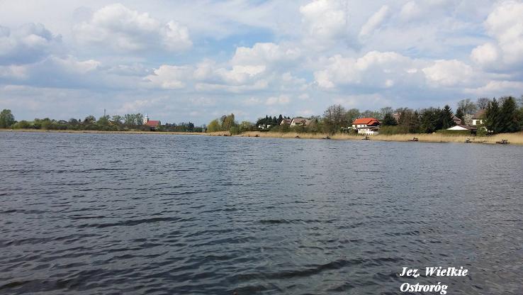 - zd_0019.jpg Zdjęcie przedstawia Jezioro Wielkie w Ostrorogu